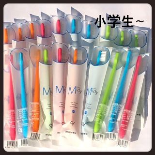 小学生 ミディ ２０本 歯科医院専売子供歯ブラシ(歯ブラシ/歯みがき用品)