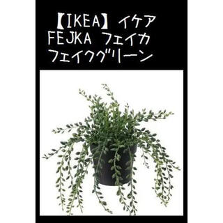 イケア(IKEA)の【IKEA】グリーンネックレス FEJKA フェイカ　人工観葉植物(置物)