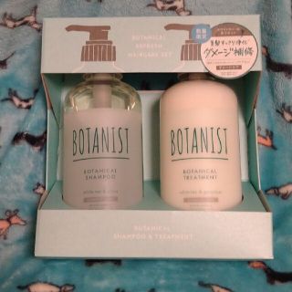 ボタニスト(BOTANIST)のボタニスト　リフレッシュ　ヘアケアセット　ダメージケア　数量限定(シャンプー/コンディショナーセット)