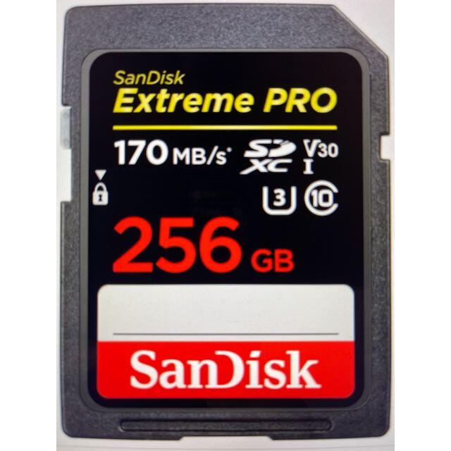 その他■SANDISK　SDSDXXY-256G-JNJIP [256GB]