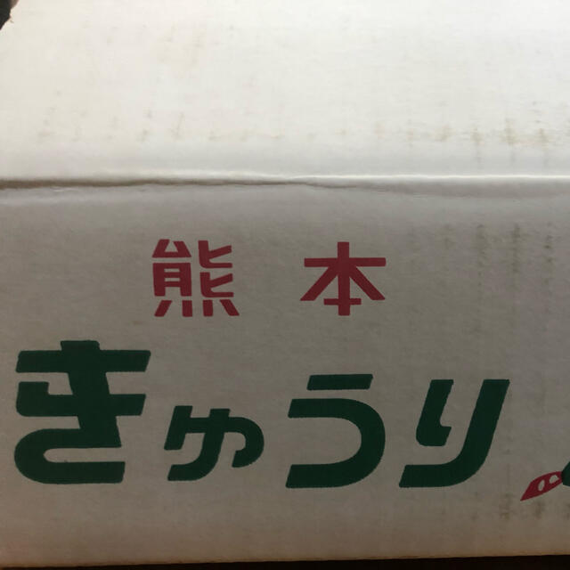 熊本産！朝採りきゅうり4キロ 食品/飲料/酒の食品(野菜)の商品写真