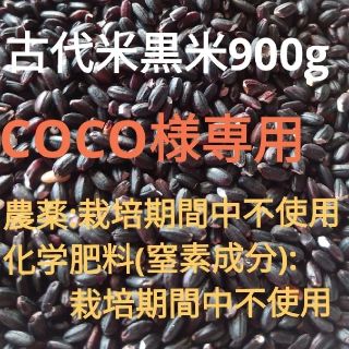 COCO 様専用❗古代米黒米900g(米/穀物)