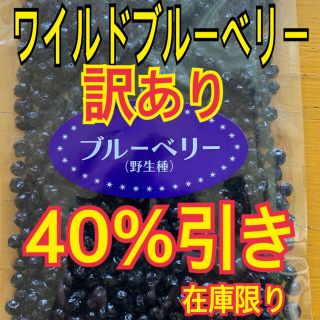 ワイルドブルーベリー【送料無料】(フルーツ)