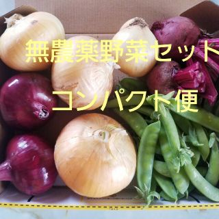 無農薬野菜セット詰め合わせ(野菜)