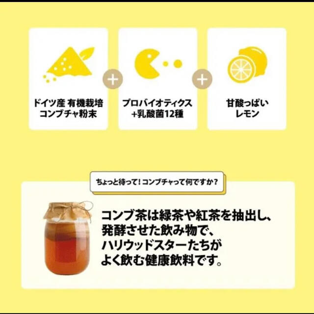 防弾少年団(BTS)(ボウダンショウネンダン)のコンブチャ　コンブ茶　ティーゼン　BTS    食品/飲料/酒の飲料(茶)の商品写真