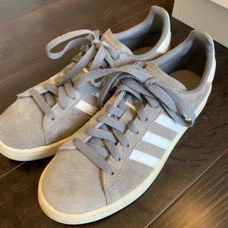 アディダス(adidas)のadidas campus(スニーカー)