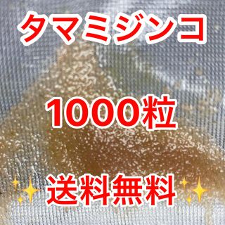 タマミジンコ飼育水 めだか、ベタ、金魚等の餌 稚魚に(ペットフード)