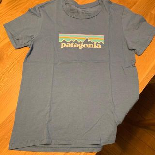 パタゴニア(patagonia)のpatagonia Tシャツ(Tシャツ(半袖/袖なし))