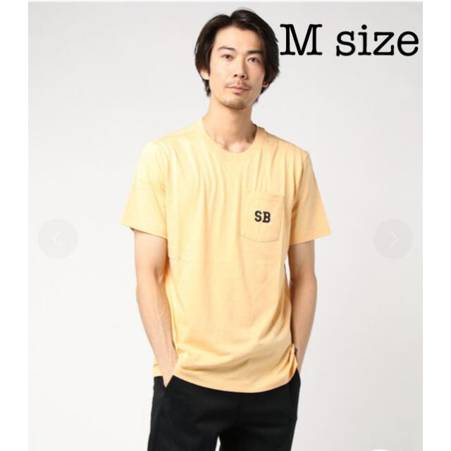 NIKE(ナイキ)のNIKE SB ロゴ Tシャツ メンズのトップス(Tシャツ/カットソー(半袖/袖なし))の商品写真