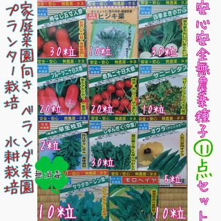 安心安全無農薬種子セット 野菜の種 種子 種 家庭菜園 プランター ハーブ (野菜)