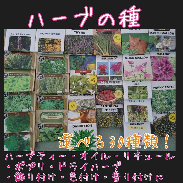ハーブ 種 種子 野菜の種 家庭菜園 園芸 プランター ポプリ サシェ リースの通販 By アルカ S Shop ラクマ ハーブ 種 種子 野菜の種 家庭菜園 園芸 プランター ポプリ サシェ リースの通販 By アルカ S Shop ラクマ