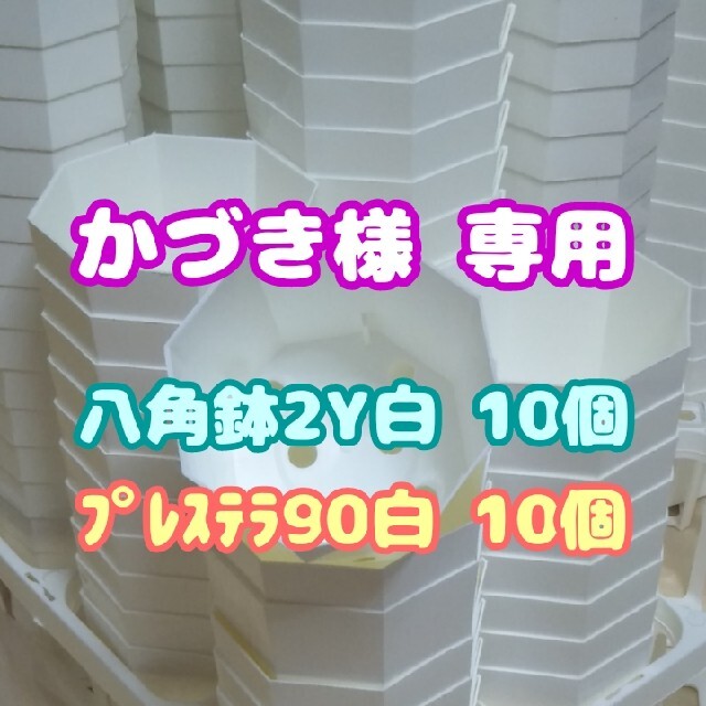 プラ八角鉢 カネヤ【2Y】10個 他 多肉植物 プレステラ ハンドメイドのフラワー/ガーデン(プランター)の商品写真