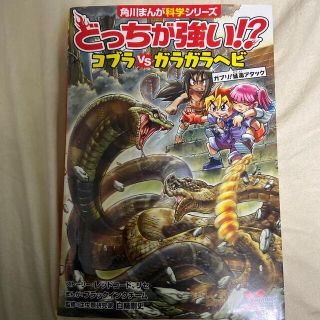 カドカワショテン(角川書店)のどっちが強い！？コブラｖｓガラガラヘビ ガブリ！猛毒アタック(絵本/児童書)