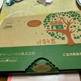 グリーンハウス　ビフィズス菌(ダイエット食品)