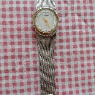 スカーゲン(SKAGEN)のスカーゲン(腕時計)