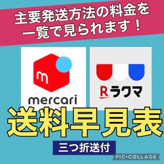 3点セット ¥11800(送料込)+ラクマ手数料 ¥770