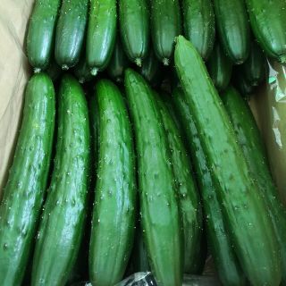 はちみつ様専用(野菜)