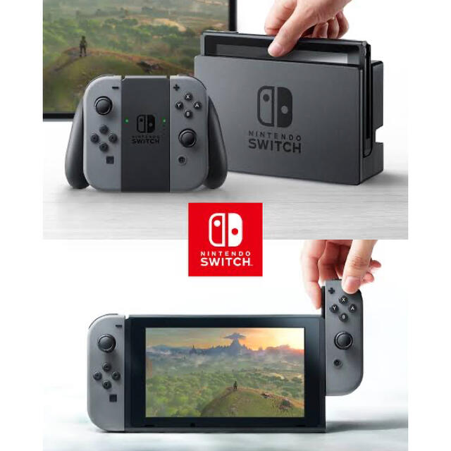 Nintendo Switch JOY-CON グレー本体HAC-S-KAAAA