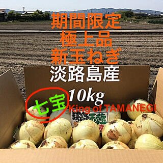 ★期間限定出荷★ 極上品　淡路島産　七宝　玉ねぎ　10kg  (野菜)