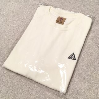 ナイキ(NIKE)のNIKe ACG Tシャツ(Tシャツ/カットソー(半袖/袖なし))