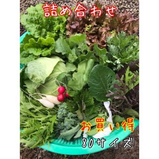 野菜　詰め合わせ　80サイズ　お楽しみボックス(野菜)