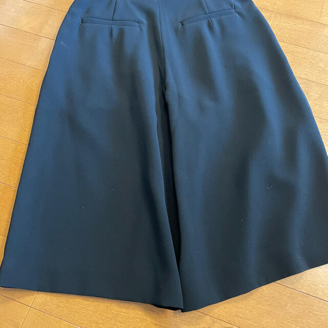 DRESSTERIOR(ドレステリア)のドレステリア   レディースのスカート(ひざ丈スカート)の商品写真