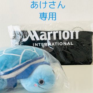 エーエヌエー(ゼンニッポンクウユ)(ANA(全日本空輸))のANA 非売品 搭乗記念品 フライングホヌ(航空機)