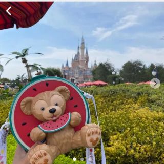 上海ディズニー 2020 ダッフィー スイカポップコーンケース