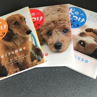 犬のしつけきちんとブック　3冊(住まい/暮らし/子育て)
