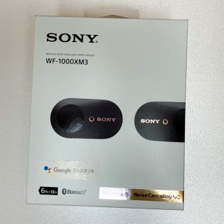 ソニー(SONY)のSONY WF-1000XM3(B)(ストラップ/イヤホンジャック)