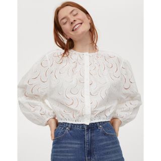 エイチアンドエム(H&M)のイギリス刺繍ブラウス　H&M(シャツ/ブラウス(長袖/七分))