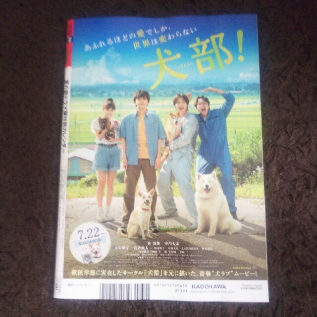 Johnny's(ジャニーズ)の週刊 ザテレビジョン北海道青森版 2021年 6/11号 エンタメ/ホビーの雑誌(ニュース/総合)の商品写真