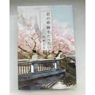 小説 君の膵臓をたべたい (文学/小説)