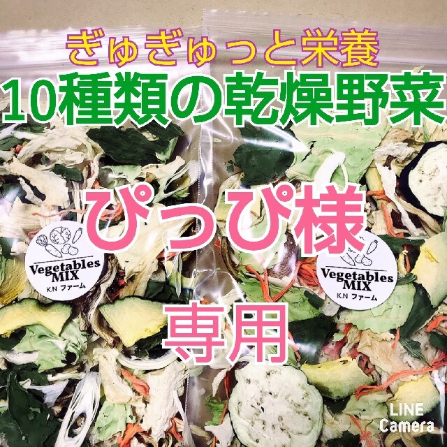 新鮮野菜【乾燥野菜10種類入り♪】50g入り×2袋     食品/飲料/酒の食品(野菜)の商品写真