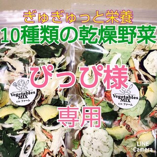 新鮮野菜【乾燥野菜10種類入り♪】50g入り×2袋    (野菜)
