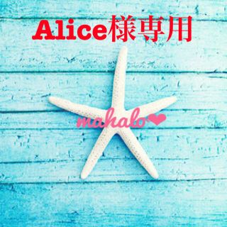 Alice様専用(ヘアアクセサリー)