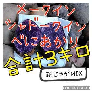 6/2掘り分★福岡県産新じゃがいも　3品種合計3キロ　栽培期間中農薬不使用(野菜)