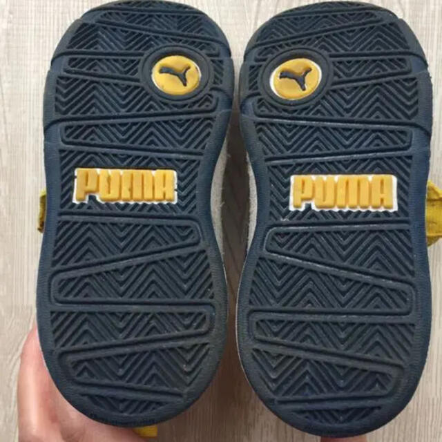PUMA(プーマ)のスニーカー プーマ 14 キッズ/ベビー/マタニティのベビー靴/シューズ(~14cm)(スニーカー)の商品写真