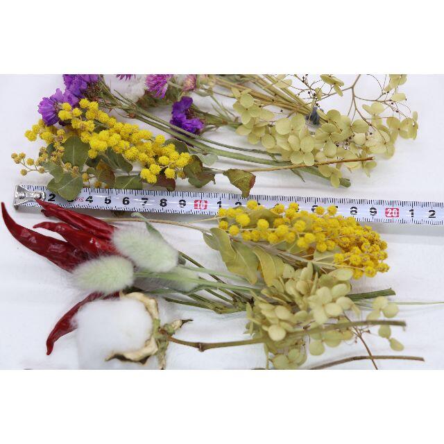 ミモザとコットンフラワーの花材セット（４） ハンドメイドのフラワー/ガーデン(ドライフラワー)の商品写真