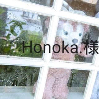 Honoka.様専用出品(その他)