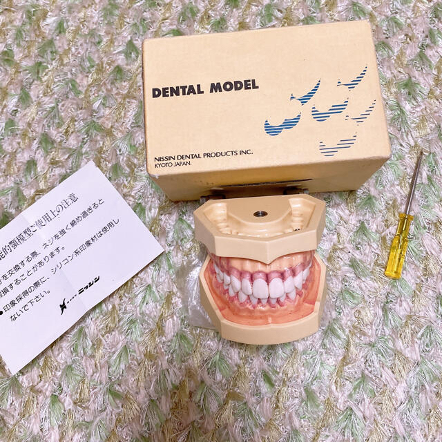 NISSIN DENTAL MODEL 顎模型 歯科模型 その他のその他(その他)の商品写真