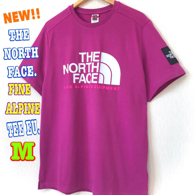 THE NORTH FACE(ザノースフェイス)のゆーぐれさん専用 ノースフェイス ファインアルパイン T  メンズのトップス(Tシャツ/カットソー(半袖/袖なし))の商品写真