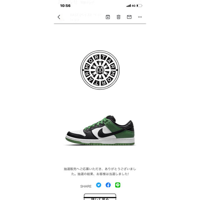Nike SB Dunk Low Pro Classic Green靴/シューズ