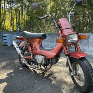 ホンダ(ホンダ)の(値下げしました)シャリー 原付 50cc 実動車 エンジン良好 オールペン済(車体)