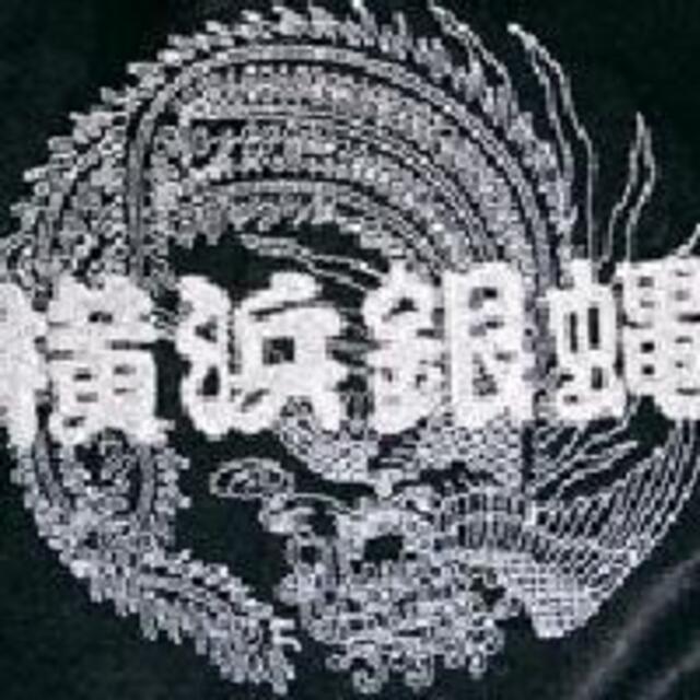 大人気】ドッグウェア【横浜銀蝿 ロングスカジャン】スペシャルロゴ ...