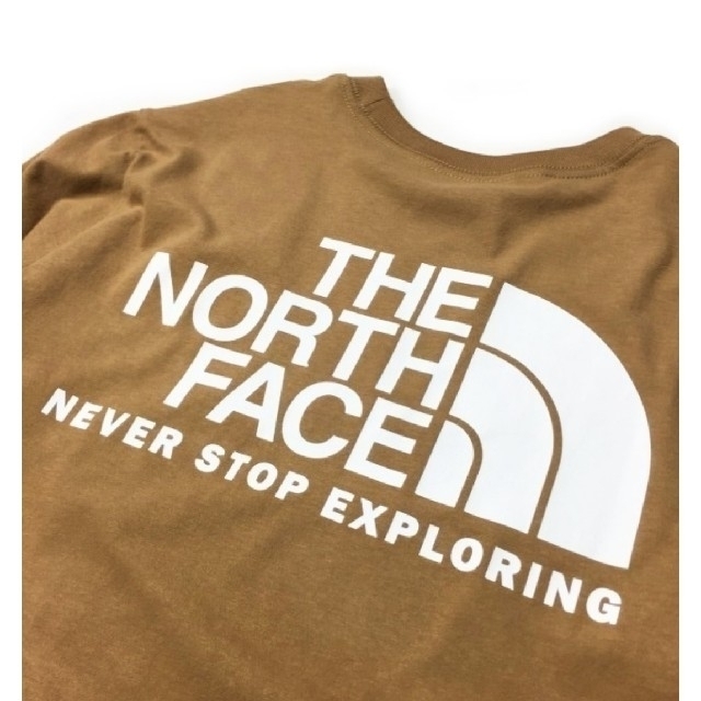 THE NORTH FACE(ザノースフェイス)のTHE NORTH FACE Long Tee ノースフェイス ロング ティー メンズのトップス(Tシャツ/カットソー(七分/長袖))の商品写真