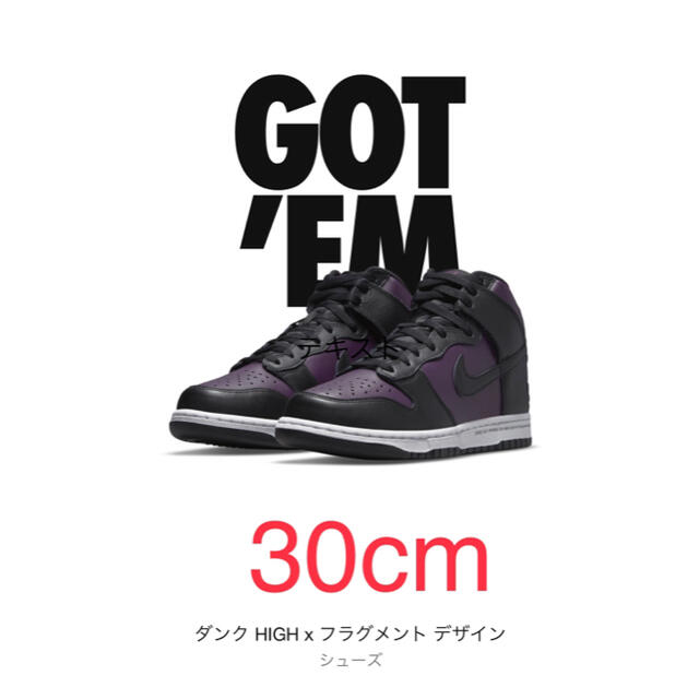 送料、無料 30cm DUNK HIGH フラグメント