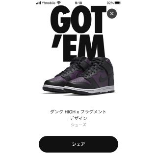 ナイキ(NIKE)の28.5 フラグメント fragment  ダンク(スニーカー)