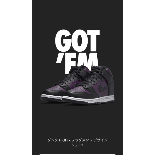 NIKE SB ダンク　High フラグメントデザイン　28cm