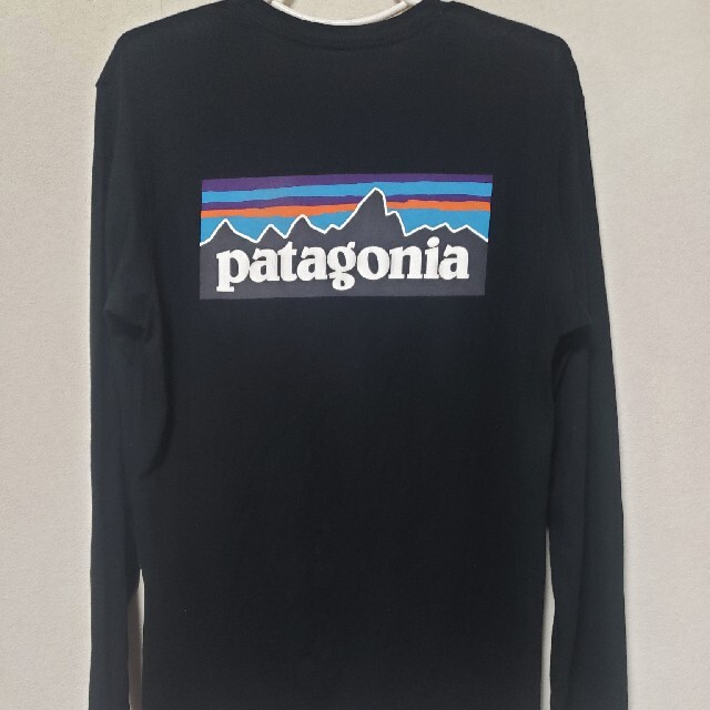 patagonia　ロンT P-6ロゴ size/M